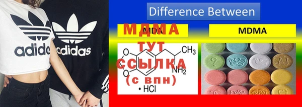 ПСИЛОЦИБИНОВЫЕ ГРИБЫ Дмитриев