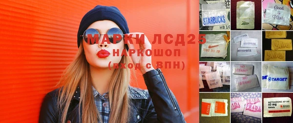 индика Ижевск