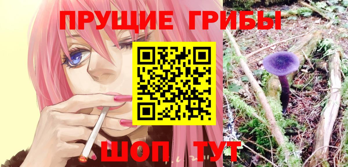 Псилоцибиновые грибы мицелий Губаха