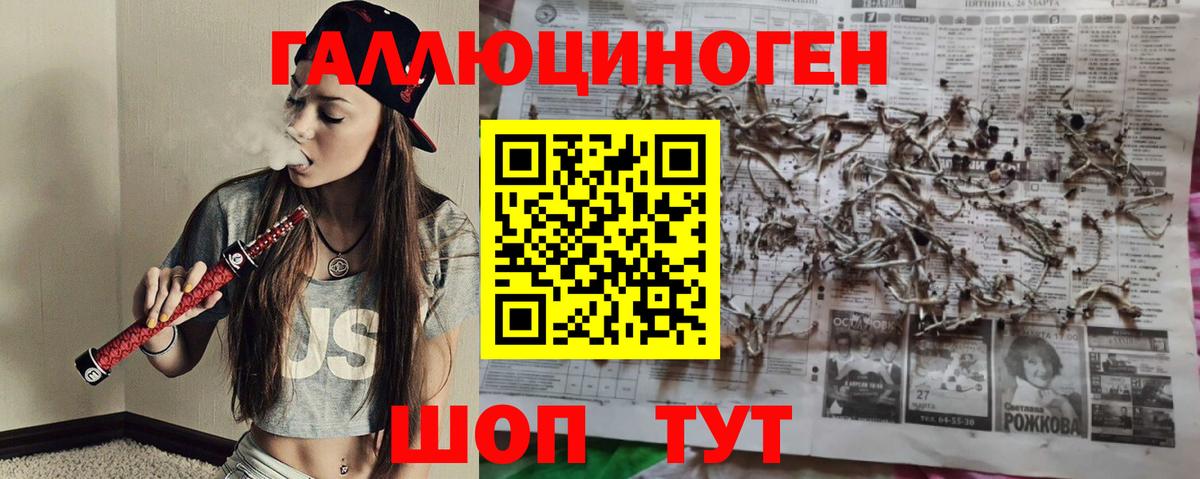 Галлюциногенные грибы Psilocybe  Галлюциногенные грибы мухоморы  Губаха 