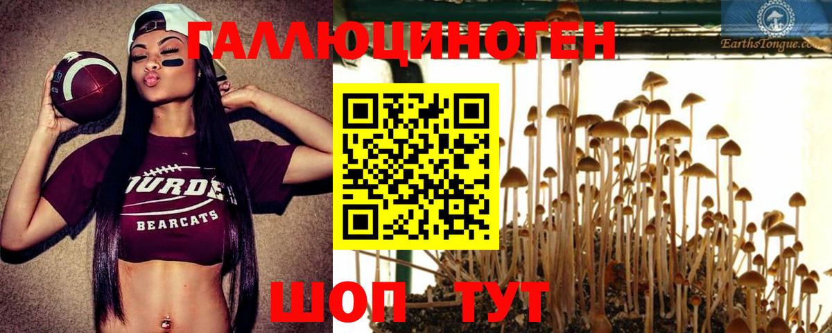 Галлюциногенные грибы мухоморы Губаха