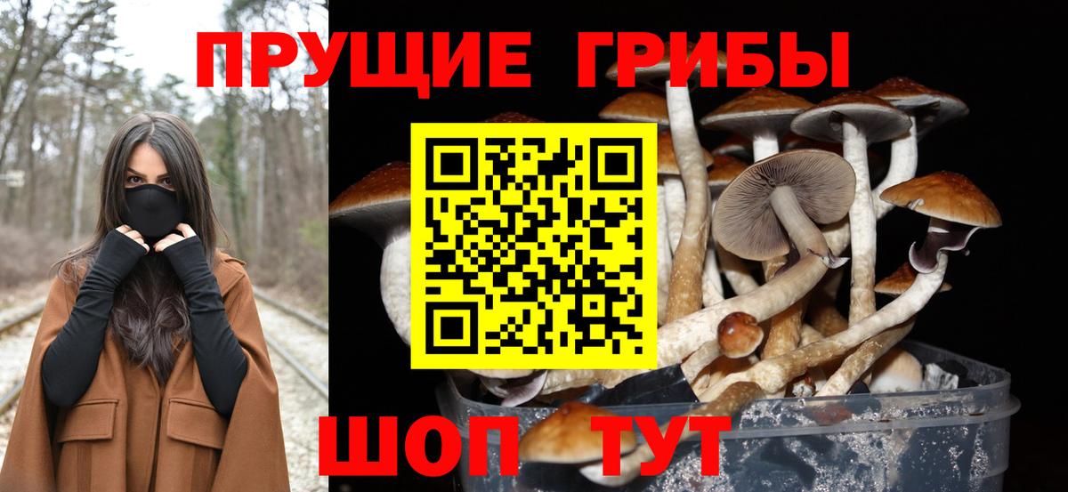 Псилоцибиновые грибы Magic Shrooms  Галлюциногенные грибы Cubensis  Губаха  Вход с VPN 